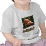 Flock of Flamingos Baby T-Shirt