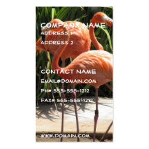 Flock of Flamingos Business Card