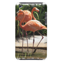 Flock of Flamingos iTouch Case iPod Touch Case-Mate Case