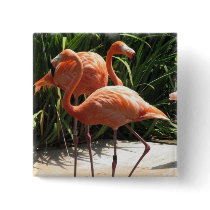 Flock of Flamingos Square Pin