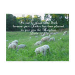 Flock of Sheep-Easter with Psalm postcards