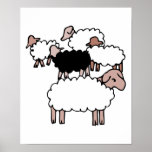flock of sheep with black sheep posters