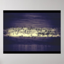 Flock Print
