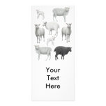 Flock with Black Sheep Rack Card rack cards