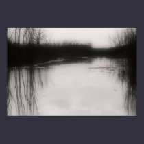 Flooded Field - Black & White Photo posters