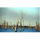 Flooded River Murray for irrigation, Australia Cut Out