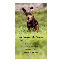 Floppy Dachshund Business Card