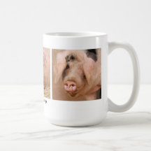 Floppy-eared Pink Gloucestershire Pigs Coffee Mug