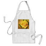 flor-5234 aventais
