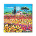 FLORA IN TUSCANY/ Fields ,Poppies and Sunflowers magnets