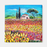 FLORA IN TUSCANY/ Fields ,Poppies and Sunflowers Fridge Magnet