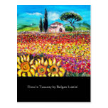 FLORA IN TUSCANY/ Fields ,Poppies and Sunflowers Post Card