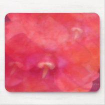 Floral Abstract