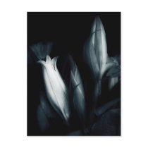 Floral Arrangement 9316s Postcards