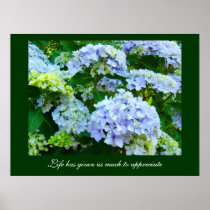 Floral art Life has given us much to appreciate