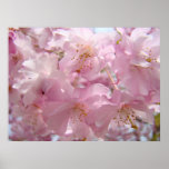 Floral Art Pink Tree Blossoms Landscape Nature Posters