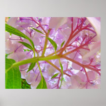 Floral art prints Pink Hydrangea Flower artwork