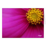 Floral Beauty cards