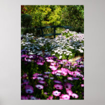 "Floral Bridge", African Daisies