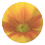 Floral Close-Up Sticker