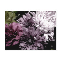 Floral Drama Postcard