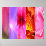 Floral Fantasy posters