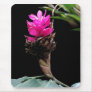 Floral Fuschia Mousepads