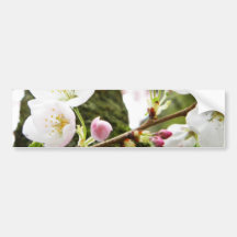 Floral Ladies Bumper Sticker
