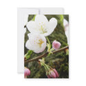 Floral Ladies invitations