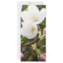 Floral Ladies Rack Card
