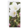 Floral Ladies Rack Card