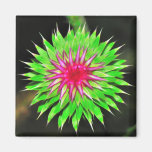 Floral Magnet