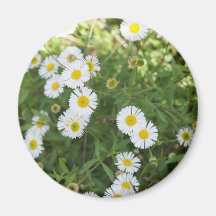 Floral Magnet