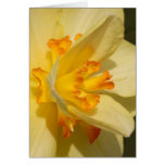 Floral Note Card