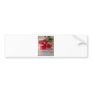 Floral Notes Bumper Stickers
