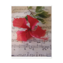 Floral Notes Postcard