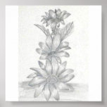 Floral Pencil Drawing posters