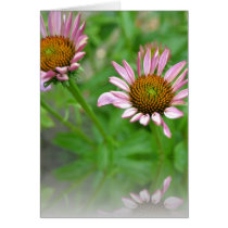 Floral Perspective- Echinacea Card