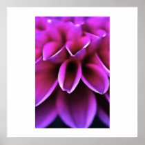 Floral Photography Prints