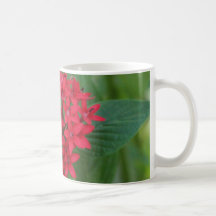 Floral Star Flower Mug