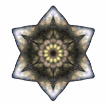 Floral Star of David Photo Sculptures