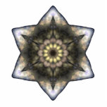 Floral Star of David photo sculptures