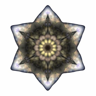 Floral Star of David Photo Sculptures by JaZilla