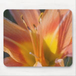 Floral Sunburst mousepads