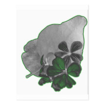 Floral Wedding Set Postcard
