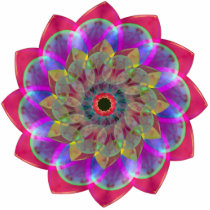 Floramoeba Rose
