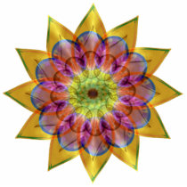 Floramoeba Star Mandala