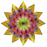 Floramoeba Star Mandala photo sculptures