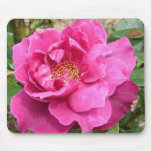 FLORAS FEAST PINK ROSE mousepads