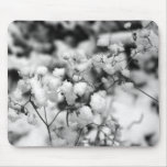 FLORAS FEAST WINTER POM POMS mousepads